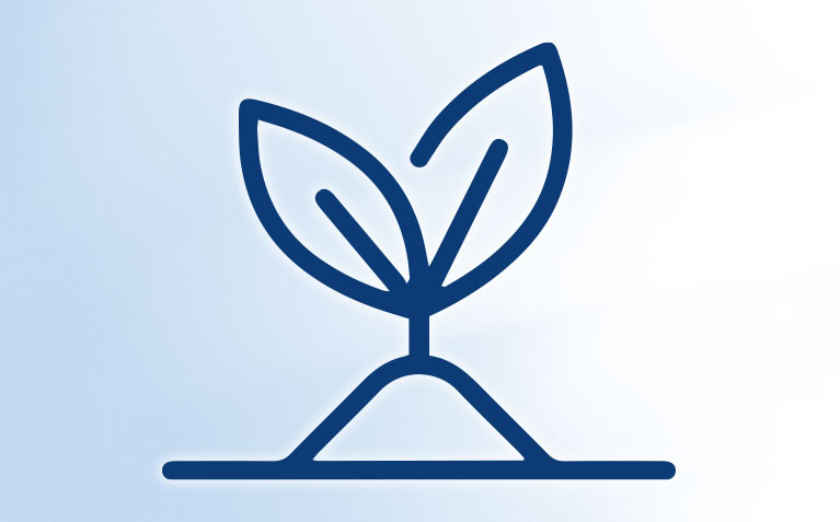 Plant growing icon