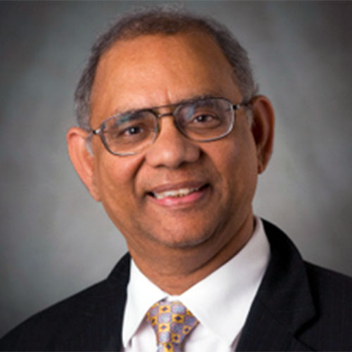 Akhlesh Lakhtakia headshot