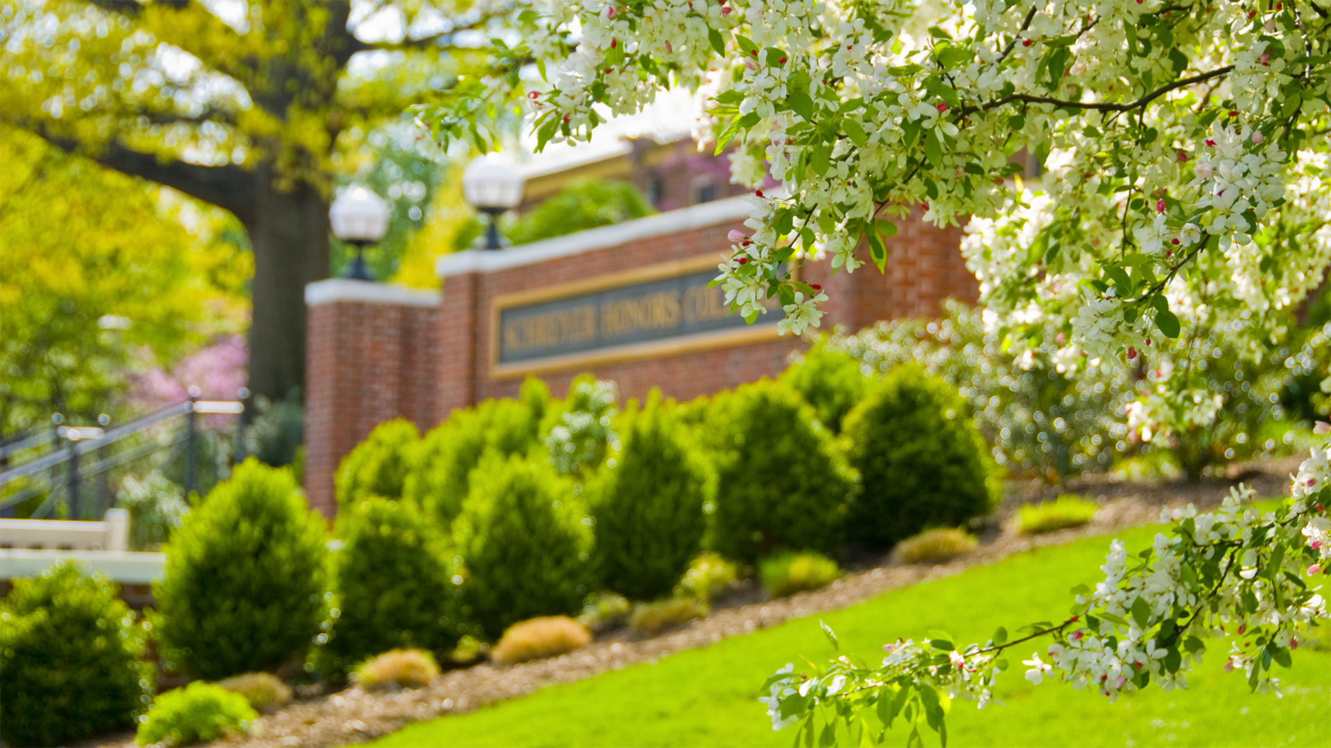 Schreyer Honors College Atherton Hall sign in spring